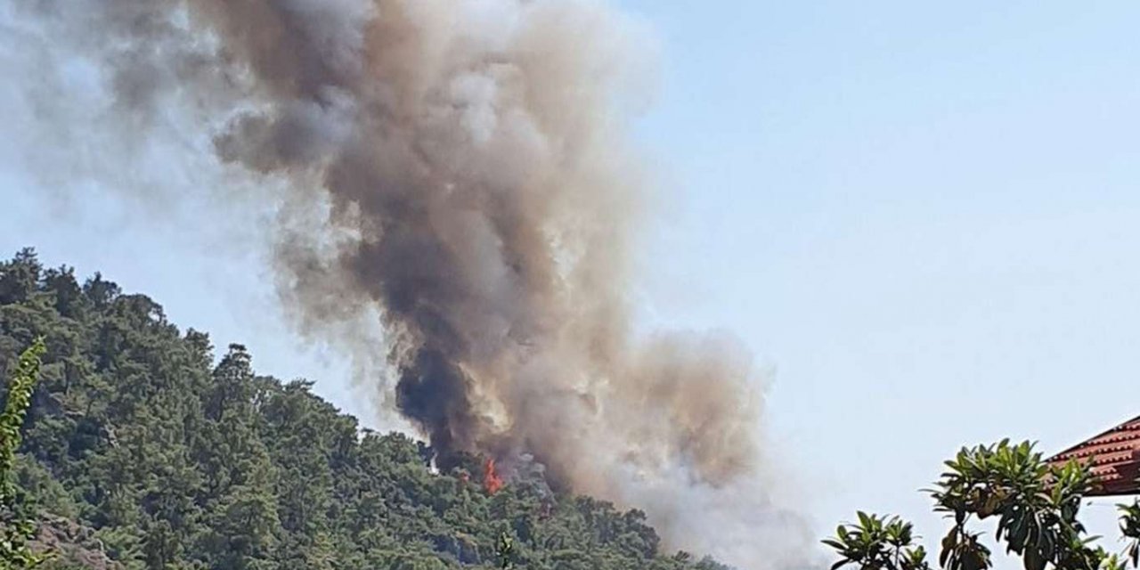 Muğla'nın bir ilçesinde daha orman yangını çıktı