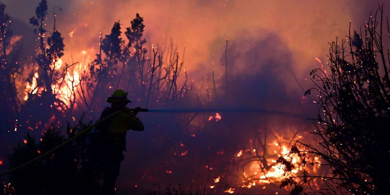 California yangınında 198 bin hektar kül oldu