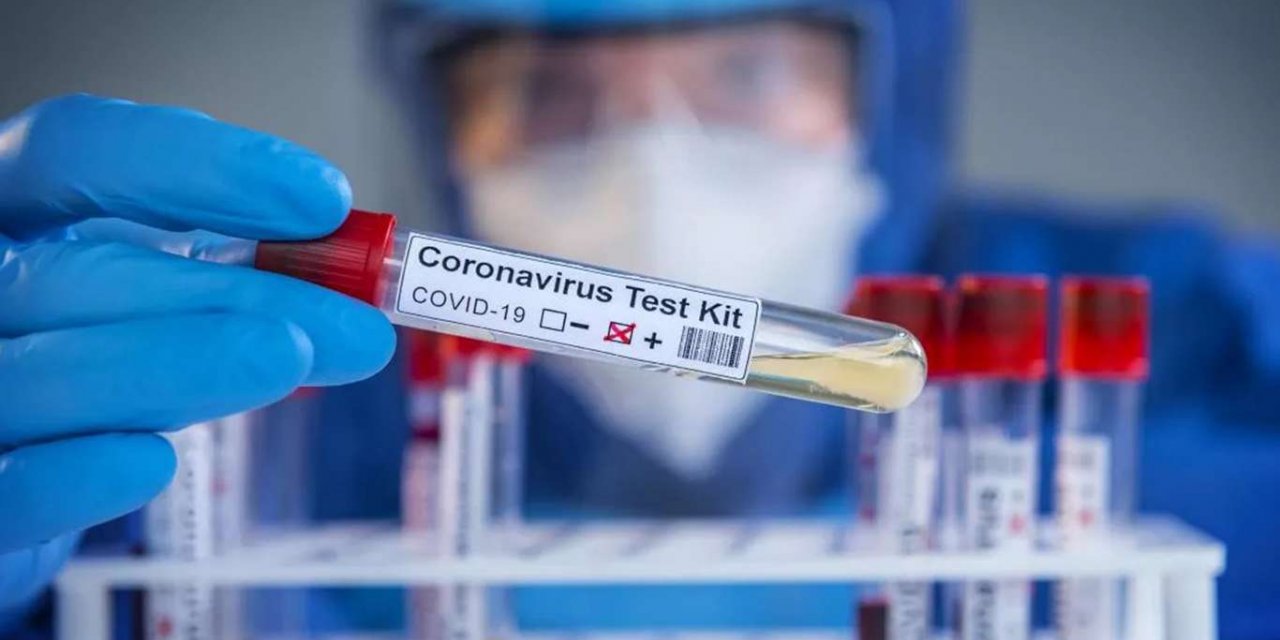 Coronavirus worldwide: The number of confirmed cases rises to 204,318,511