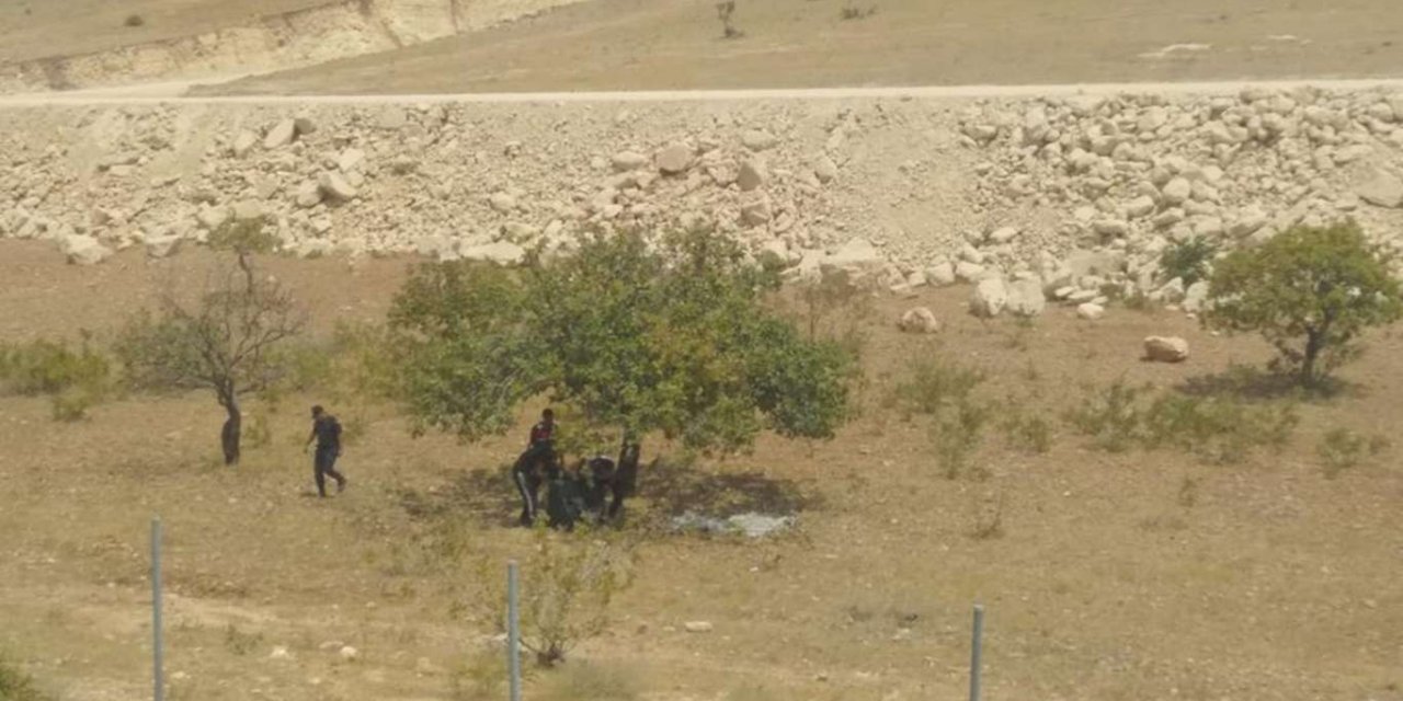 Antep fıstığı çalan hırsızlar suçüstü yakalandı