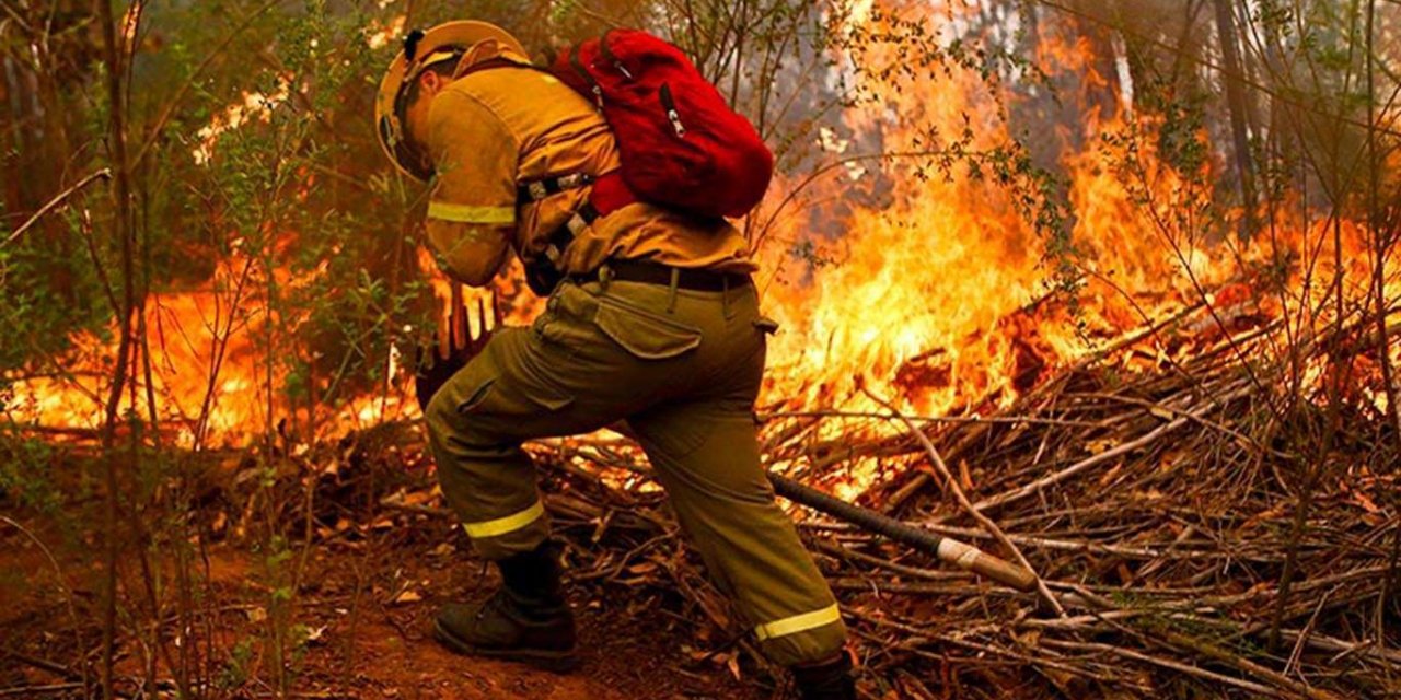 Li Cezayîrê 25 leşkerên ku midaxeleyî şewata daristanê kirin canê xwe ji dest dan