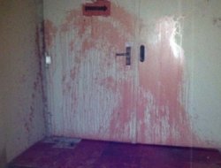 Fransa'da İslam düşmanlığı sınır tanımıyor