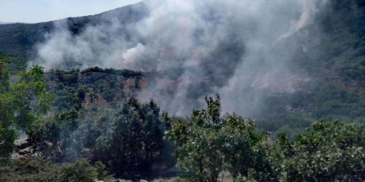 İran'da orman yangını