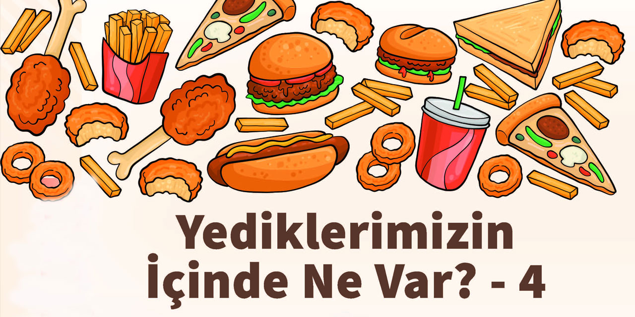 Yediklerimizin içinde ne var? 4