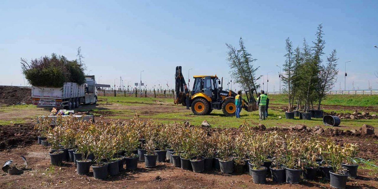 Orman arazilerinde özel ağaçlandırma müracaatları eylülde başlıyor