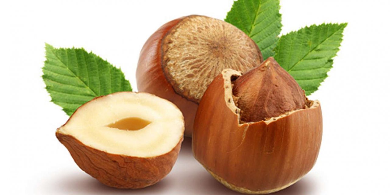 Fındık alım fiyatları açıklandı