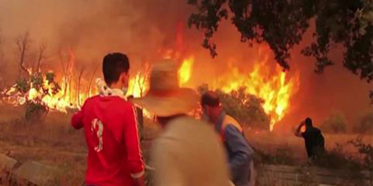 Li Cezayîrêji ber şewata daristanê heta niha 69 kes canê xwe ji dest dan