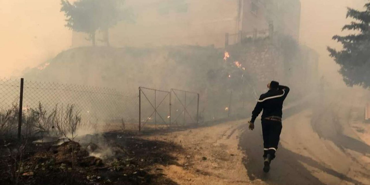 Wildfires kill at least 65 people in Algeria
