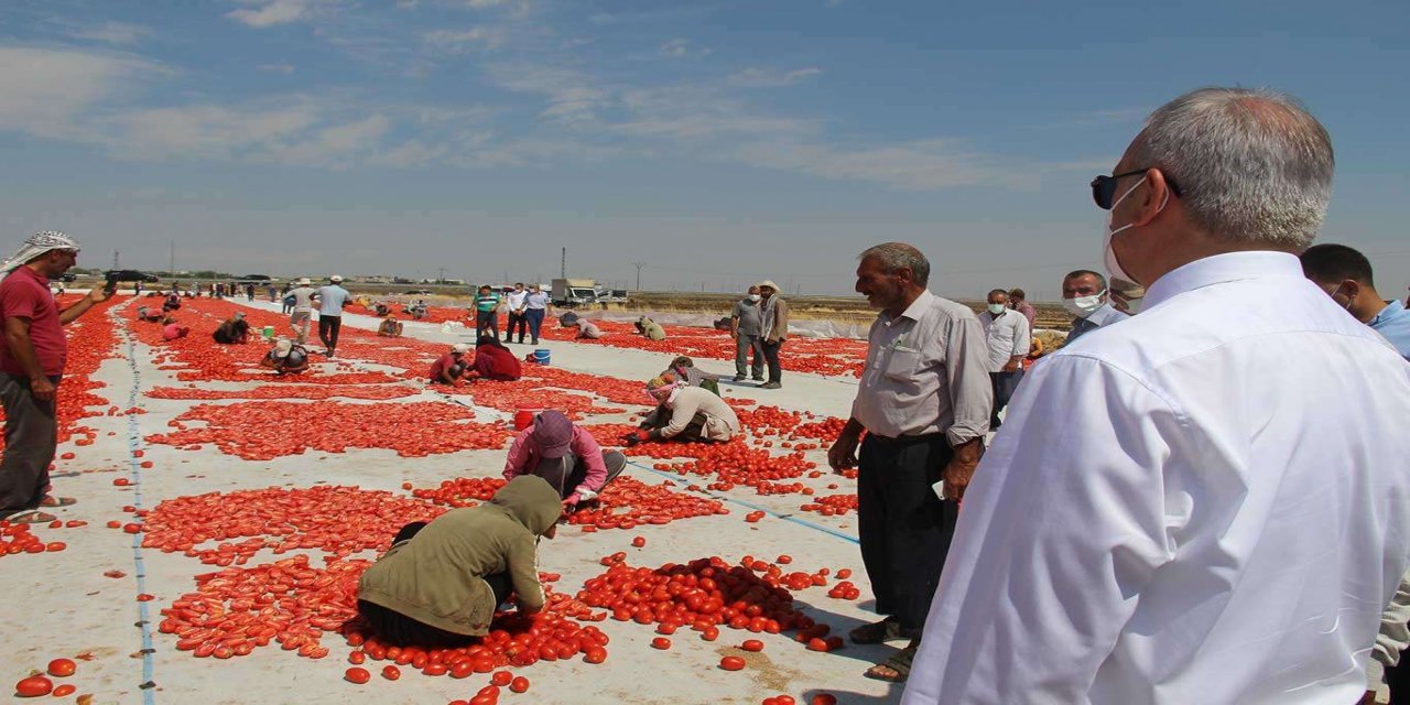 Diyarbakır Valisi Karaloğlu: Sulama imkanları artıkça sebze üretiminde daha iyi bir düzeye geleceğiz
