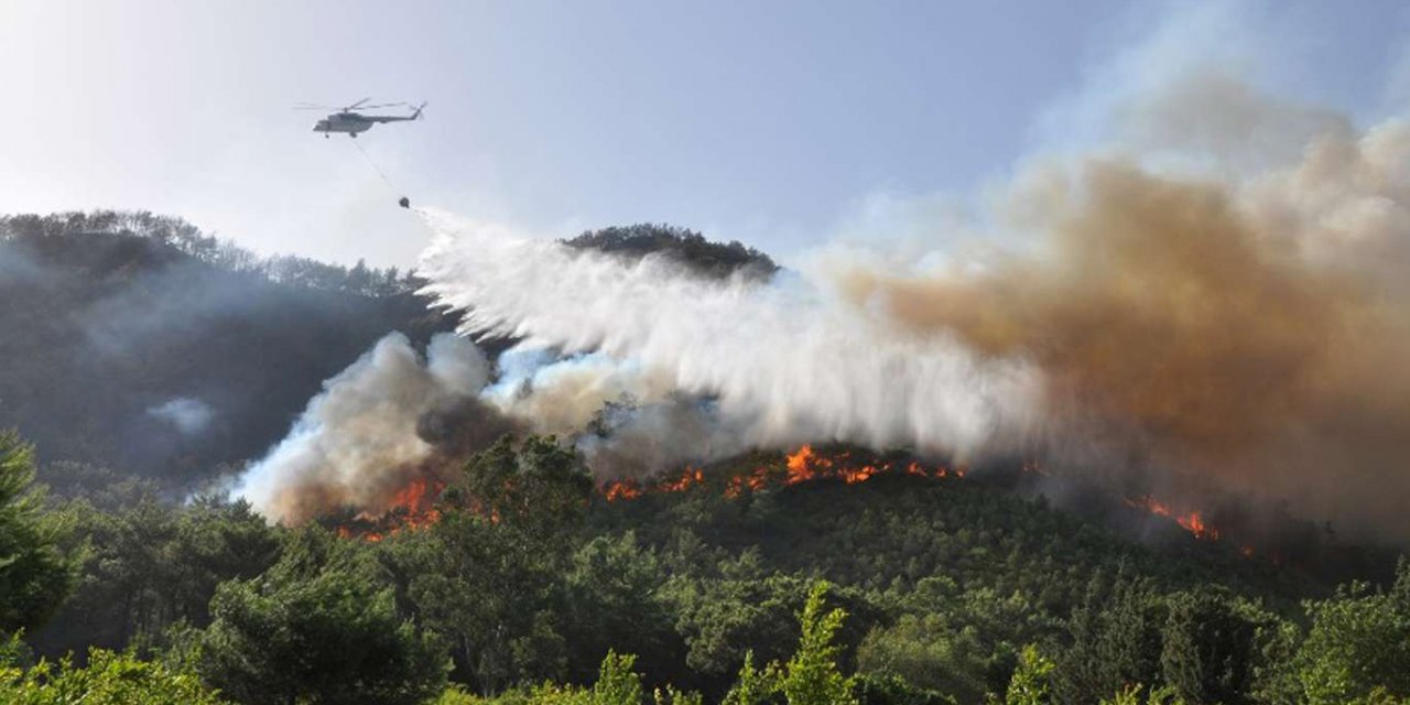 Türkiye'deki tüm orman yangınları kontrol altına alındı