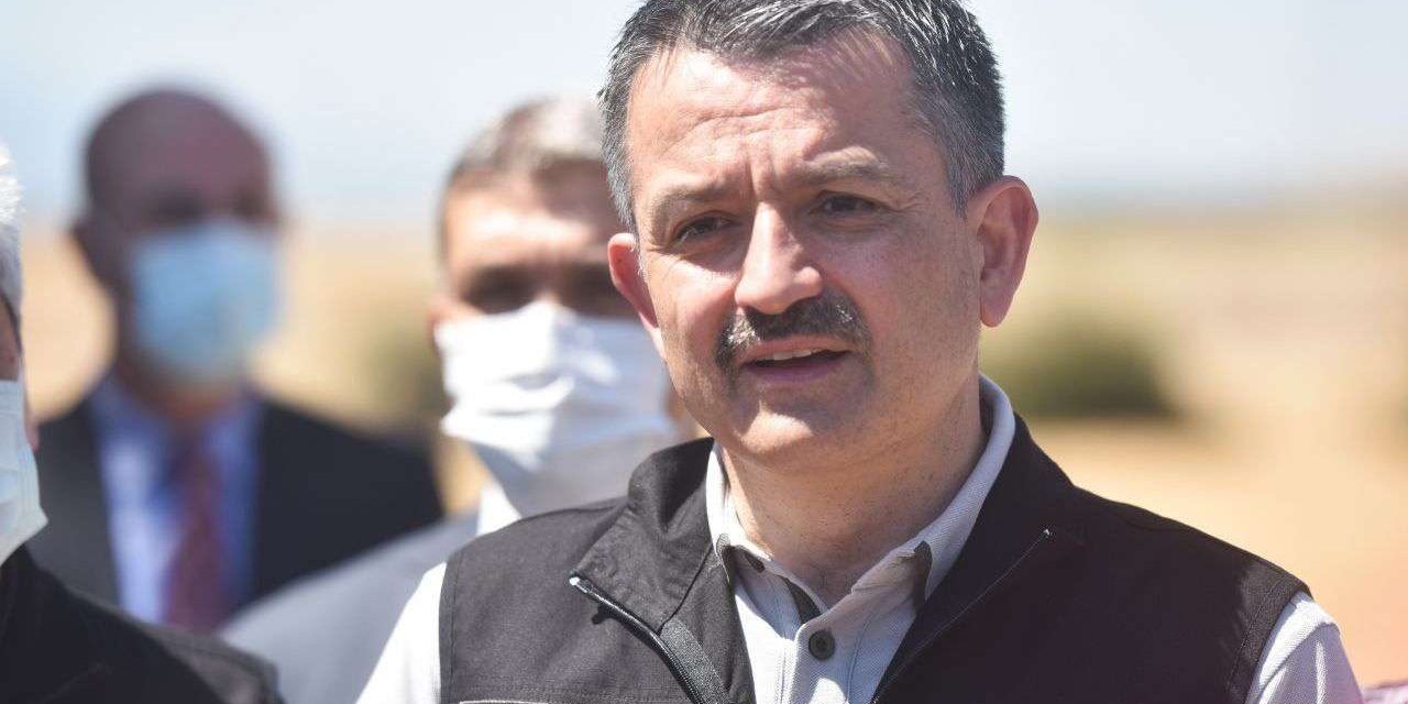 Tarım ve Orman Bakanı Pakdemirli şiddetli yağış uyarısı yaptı