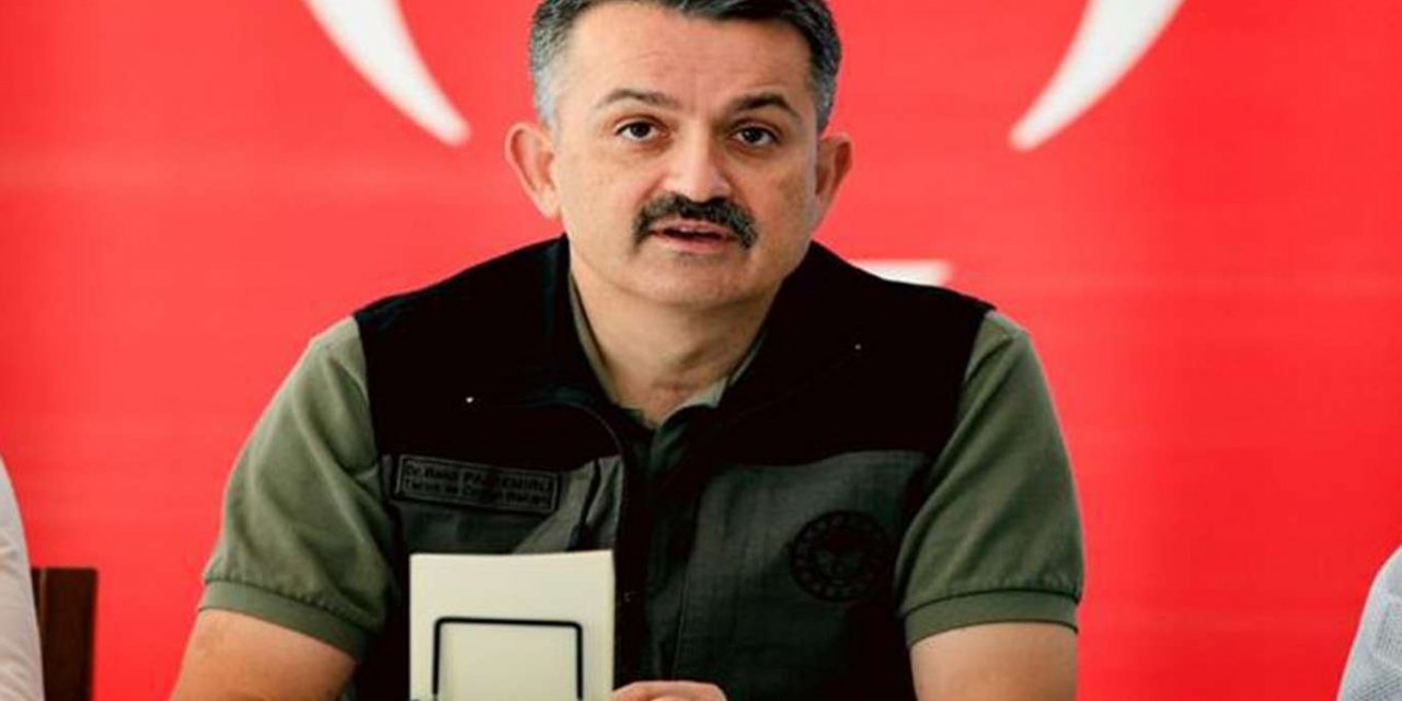 Bakan Pakdemirli: 252 milyon fidanı yıl bitmeden dikeceğiz