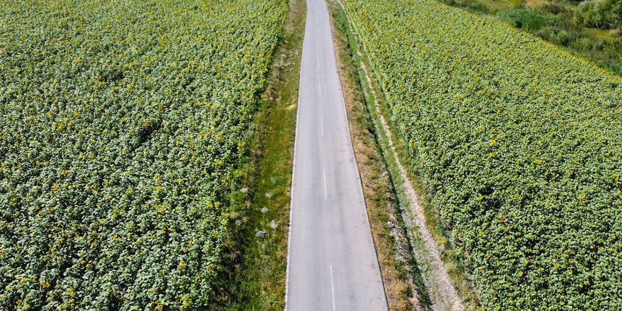 Ağrı'da tarım çeşitliliği ile birlikte istihdamda arttı