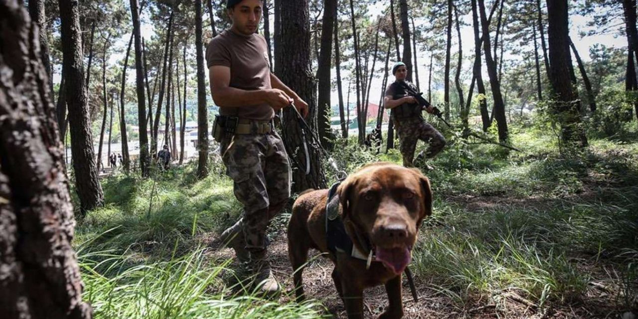 Gaziantep'te ormanlara giriş kısıtlaması uzatıldı
