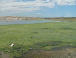 Hancağız Barajı pislik içinde