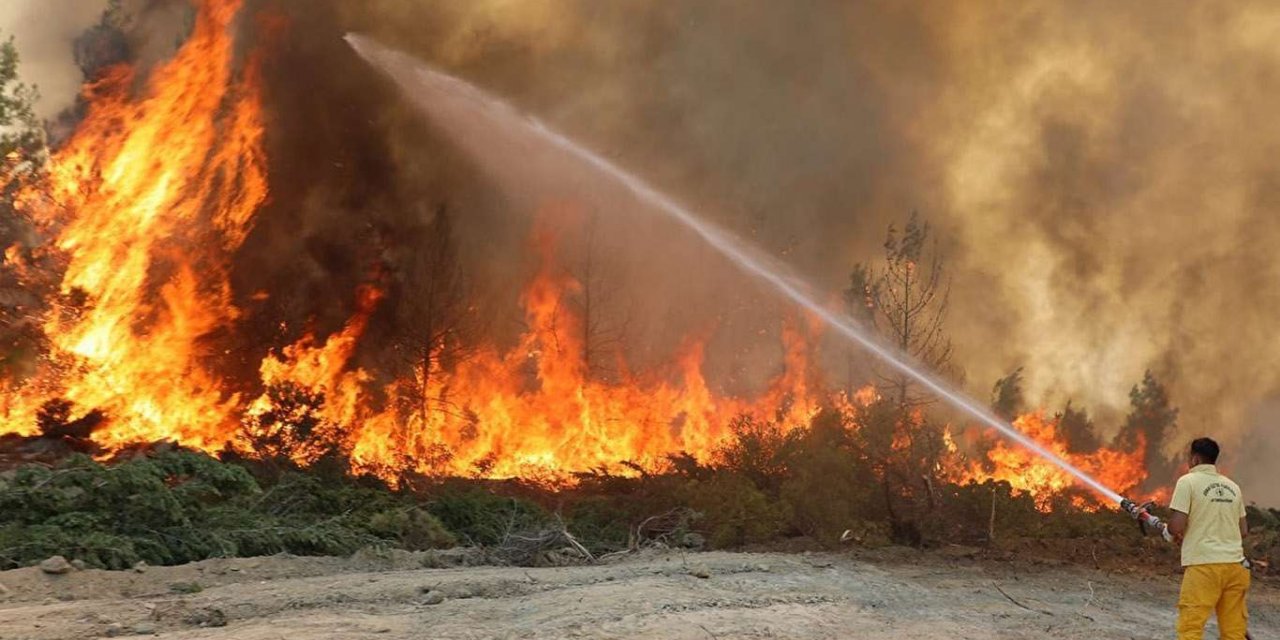 Di şewata daristanê ya li Fransayê de 2 kes mirinû 24 kes jî birîndar bûn