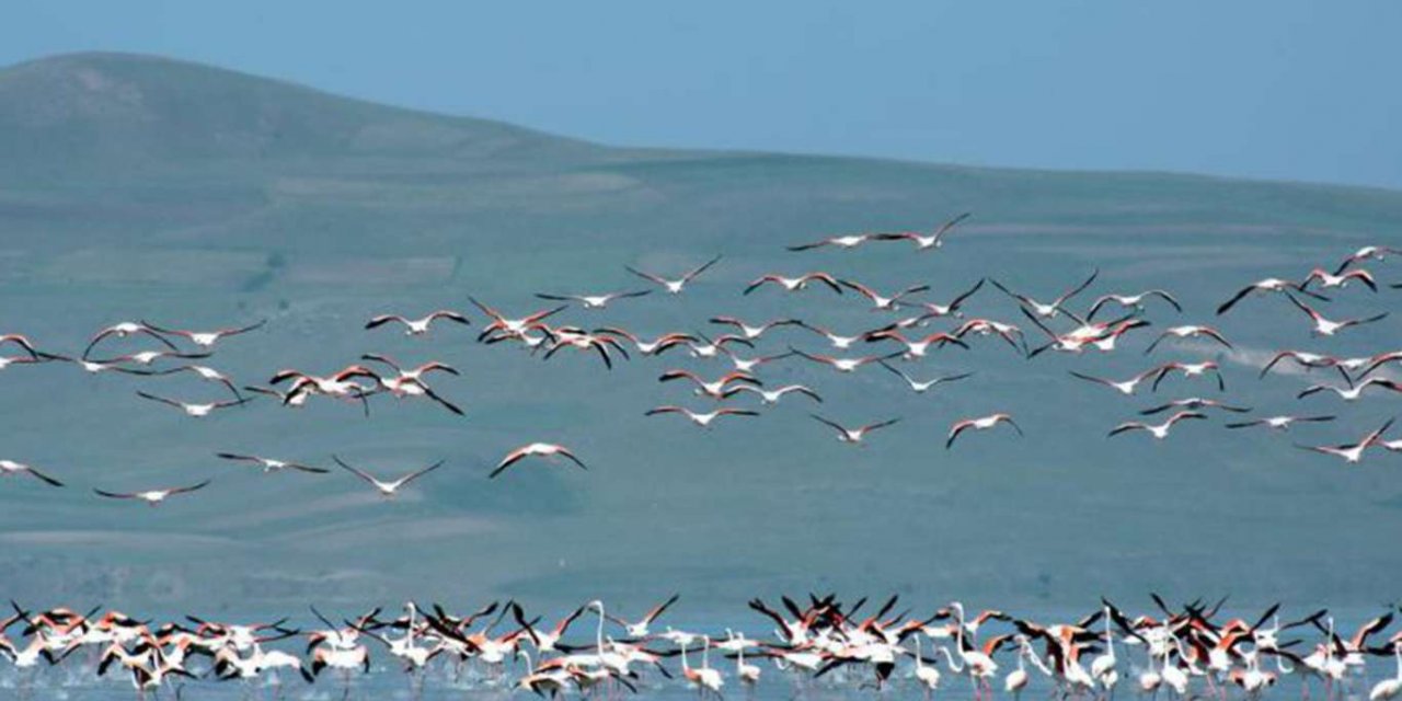 3 ilde doğal sit alanları "hassas alan" ilan edildi