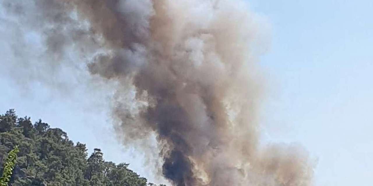 Heybeliada'da ormanlık alanda yangın