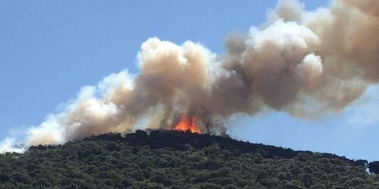 Heybeliada'daki orman yangınına ilişkin soruşturma başlatıldı