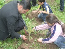 Milli Eğitim'den Bahçesaray'a 300 fidan