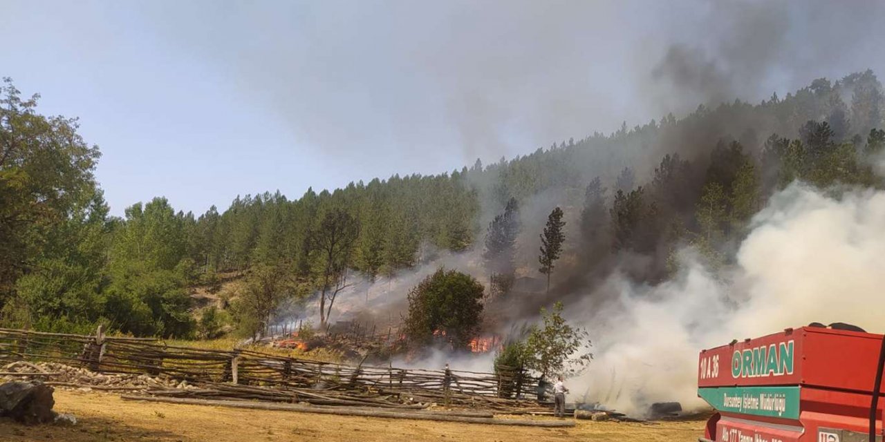 A wildfire breaks out in northwestern Turkey