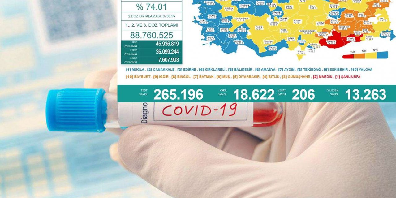 Türkiye'de son 24 saatte 18 bin 622 vaka tespit edildi, 206 kişi vefat etti