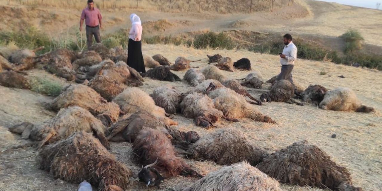 150 mihên ku di newalê de asê man telef bûn