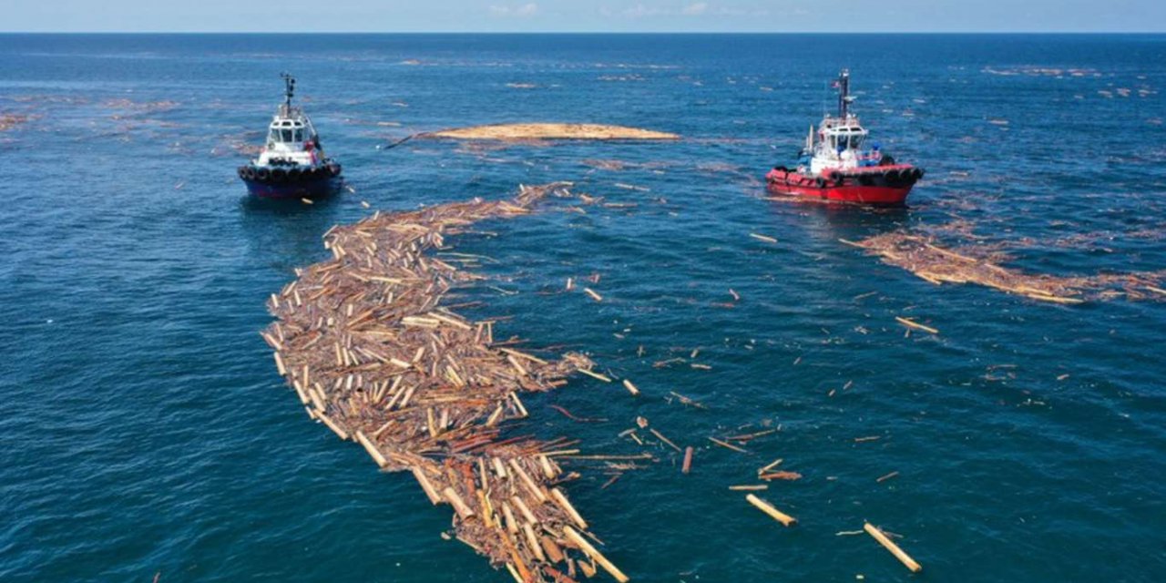 Bozkurt, Ayancık ve Türkeli açıkları tomruklardan arındırılıyor