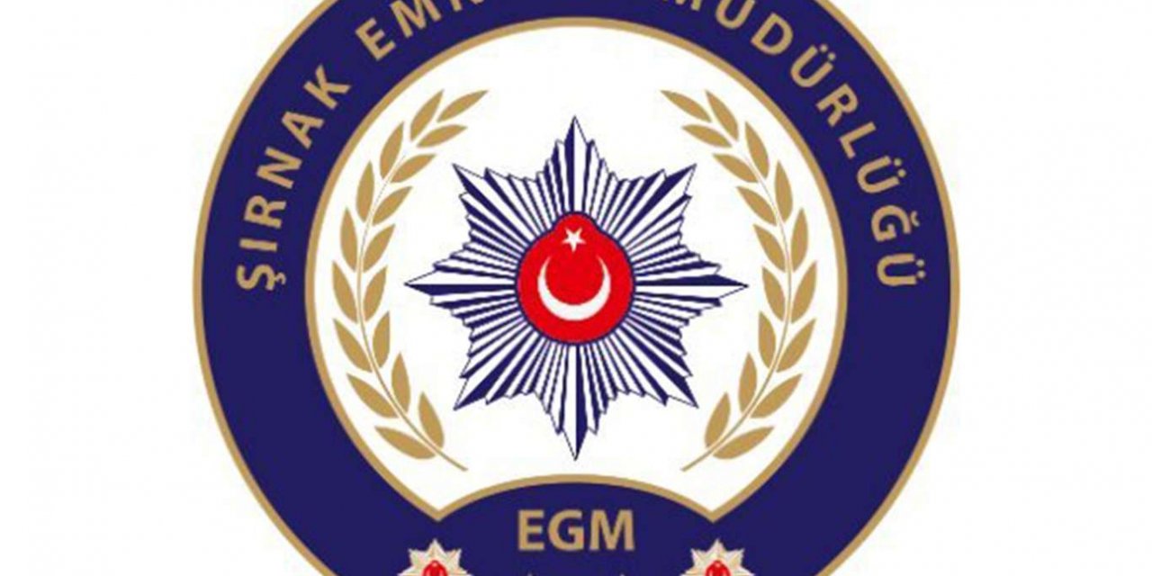 Şırnak'ta 12 şüpheli tutuklandı