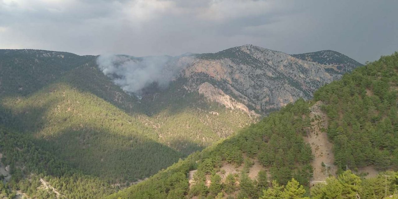 Adana'da orman yangını