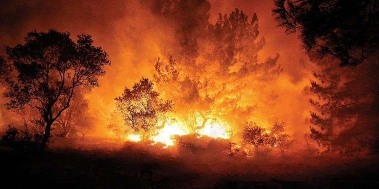Heybeliada'da çıkan yangın söndürüldü