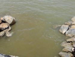 Lağım suyu Van Gölüne akıtılıyor