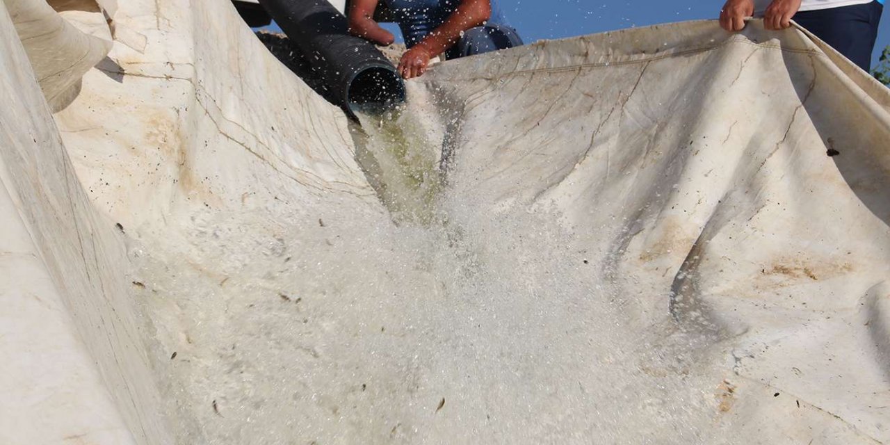 Van’da 1 milyon 200 bin pullu sazan yavrusu gölet ve barajlara bırakıldı