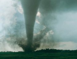 Bablîsoka Li Emrîkayê