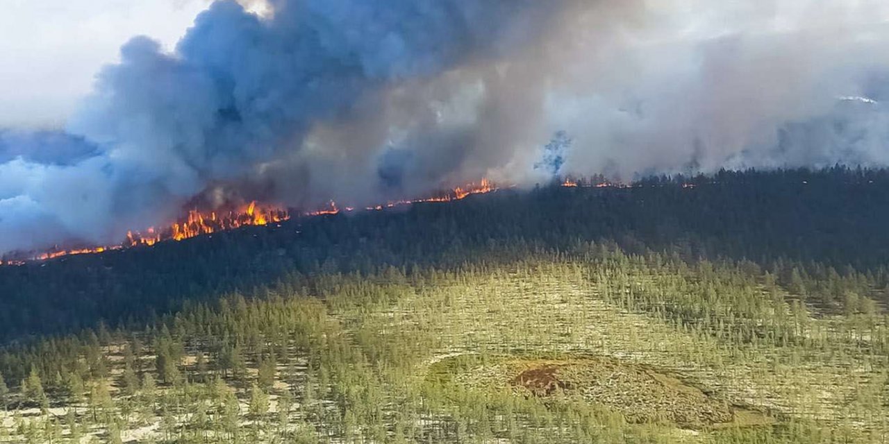 Sibirya'daki yangınlar yerleşim yerlerini tehdit ediyor