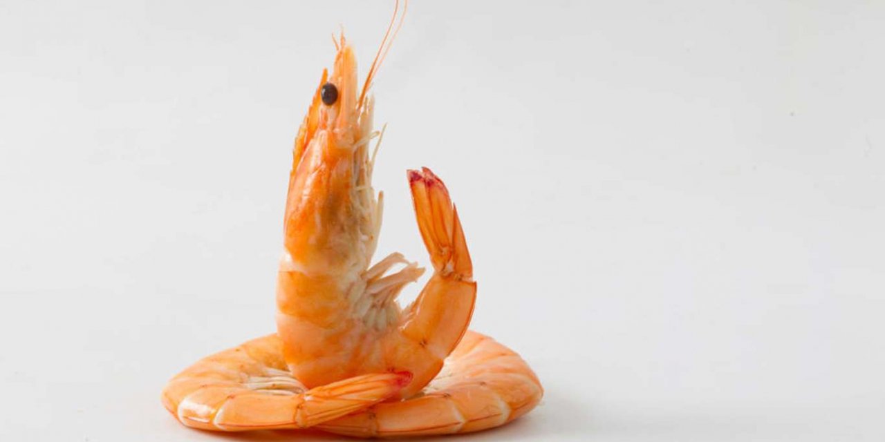 Karides ve ıstakoz yemek helal mi?