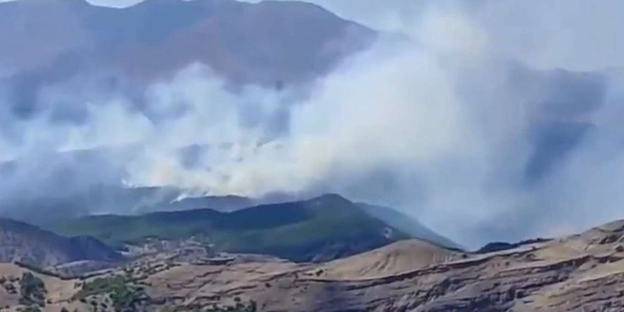 Tunceli'de örtü yangını