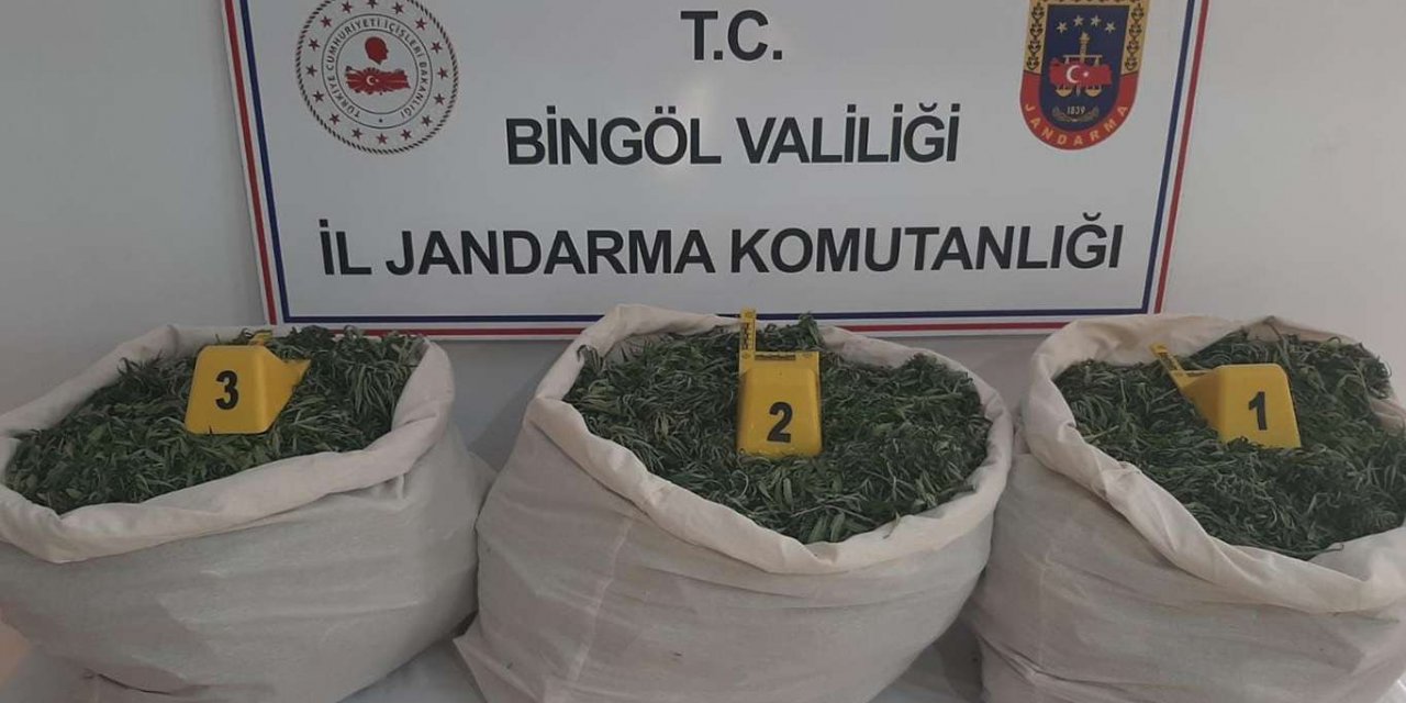 Li Bîngolê 353 kîlo esrar û 113 kok kenewîr hatin bidestxistin