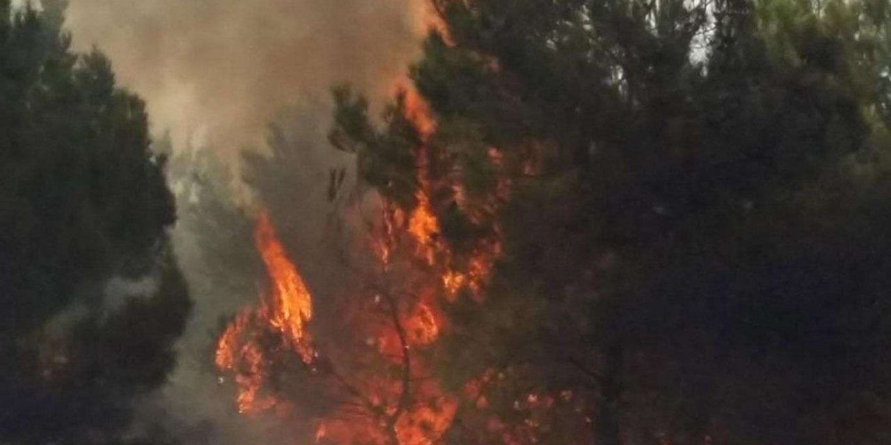 Li Îznîkê di herêma daristanî de şewat