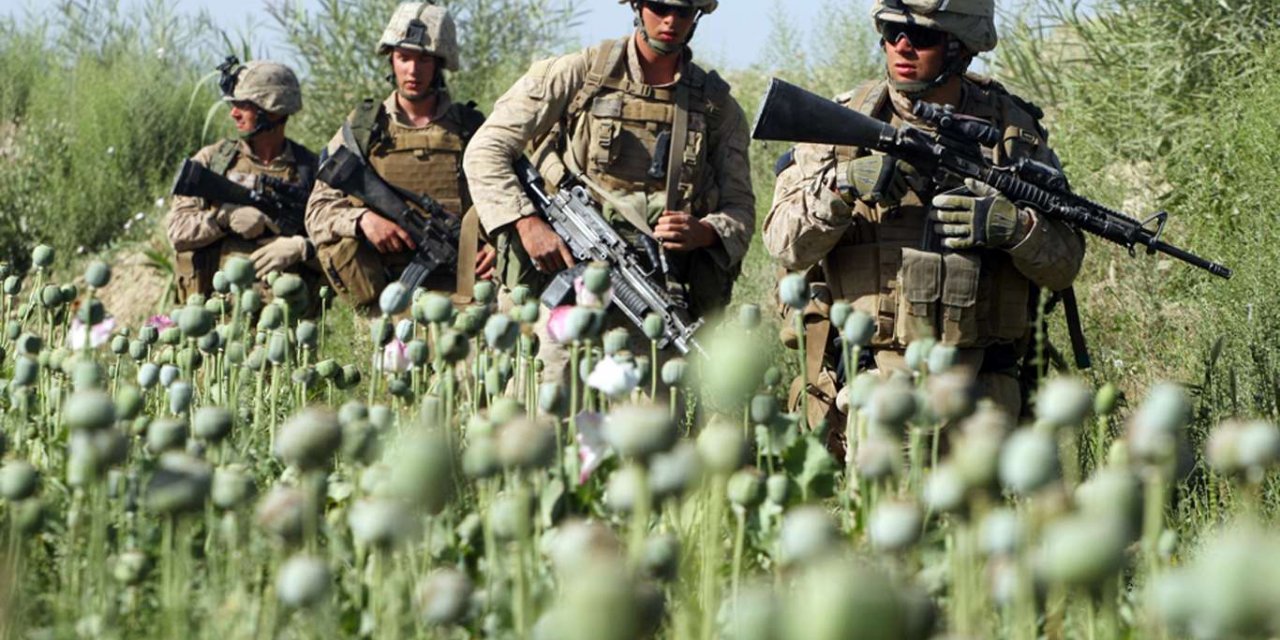 ABD'nin Afganistan'ı işgalinde haşhaş tarlaları 100 kat arttı