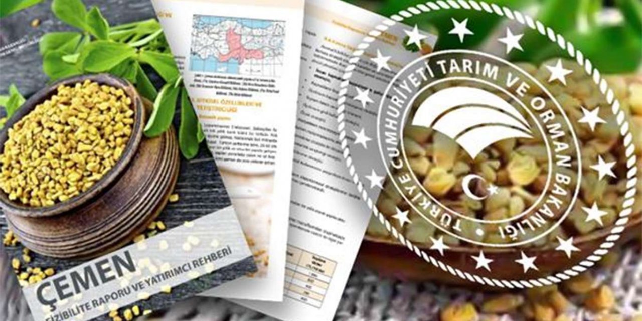 Çemen için fizibilite raporu ve yatırımcı rehberi hazırlandı