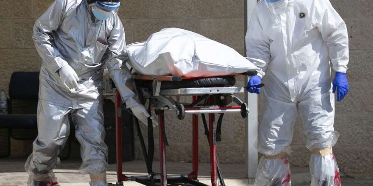 Rusya’da Batı Nil virüsü vakalarındaki artış endişelere yol açıyor