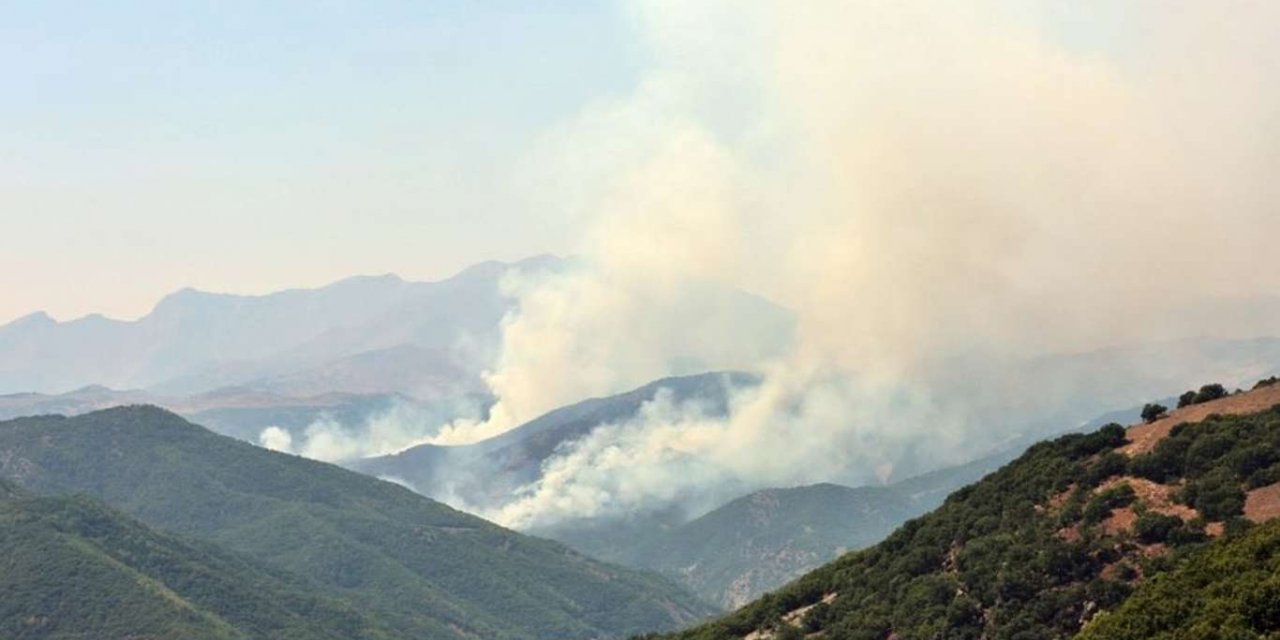 Tunceli'deki orman yangının söndürme çalışması devam ediyor