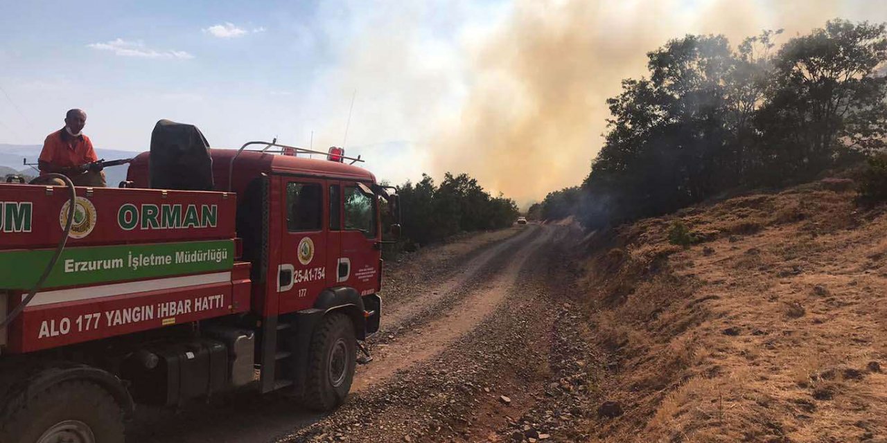 Orman Genel Müdürlüğünden yangın açıklaması