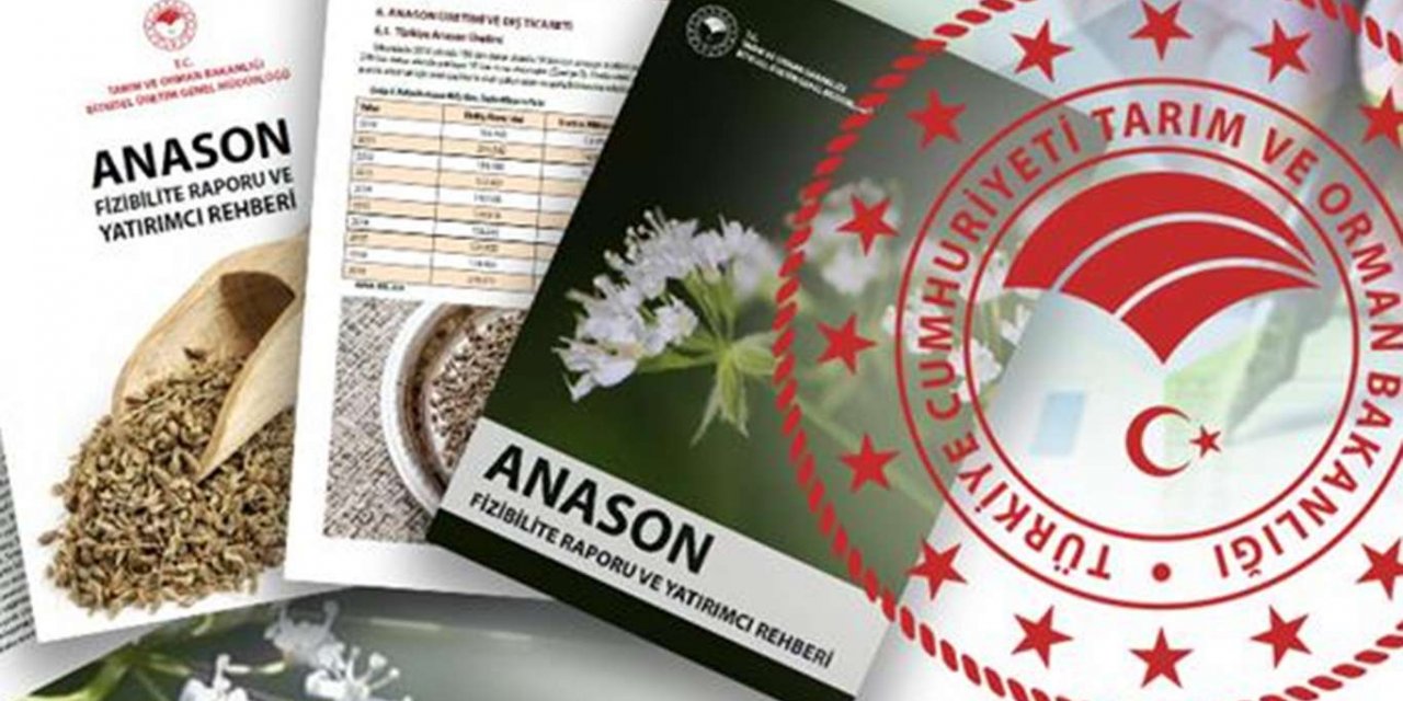 Anason için fizibilite raporu ve yatırımcı rehberi hazırlandı