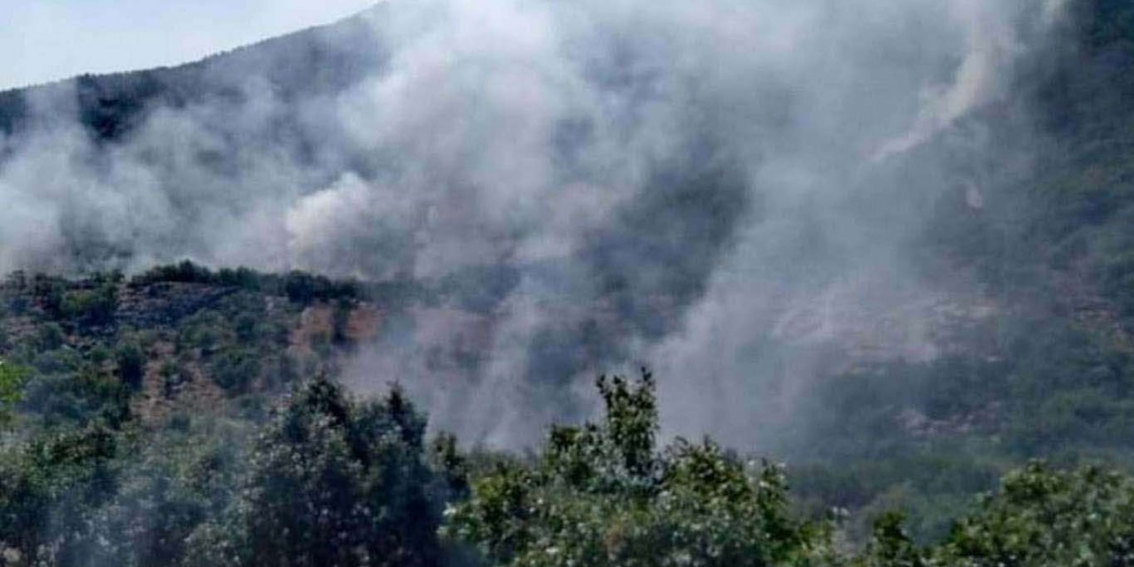 Manisa'da orman yangınına havdan ve karadan müdahale ediliyor