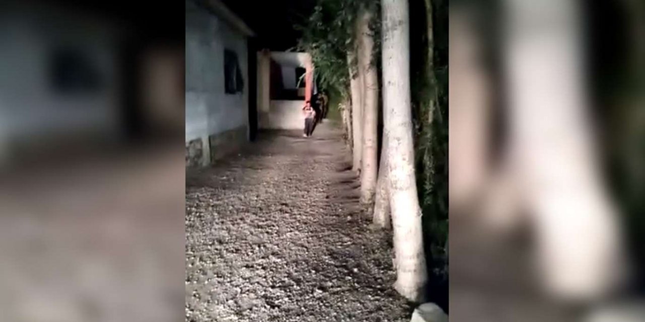 Van'da 48 düzensiz göçmen yakalandı