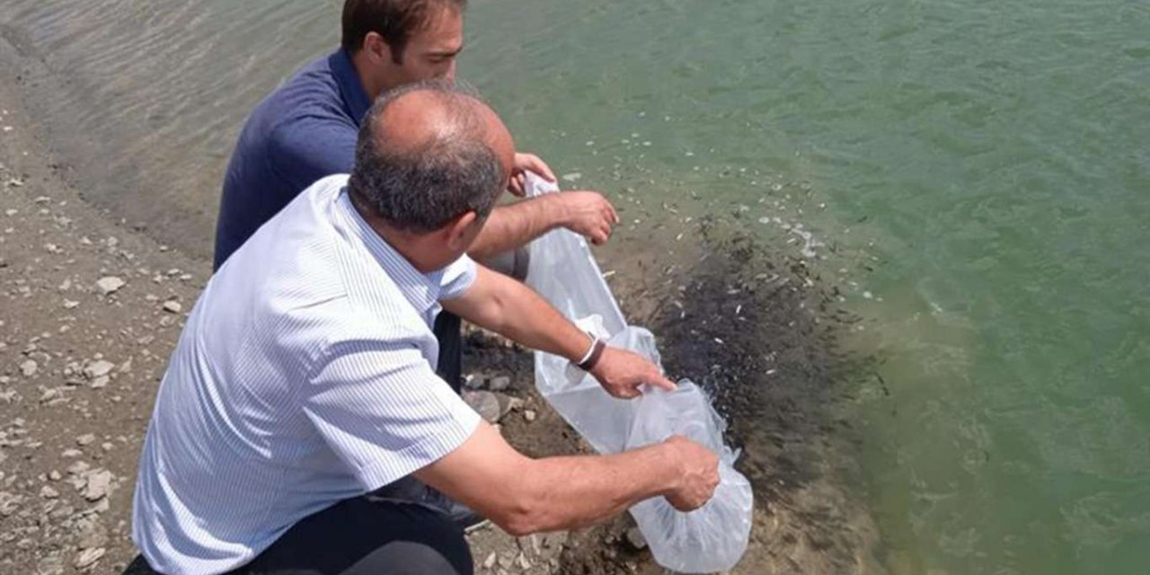 Malatya'daki göletlere 120 bin yavru balık bırakıldı
