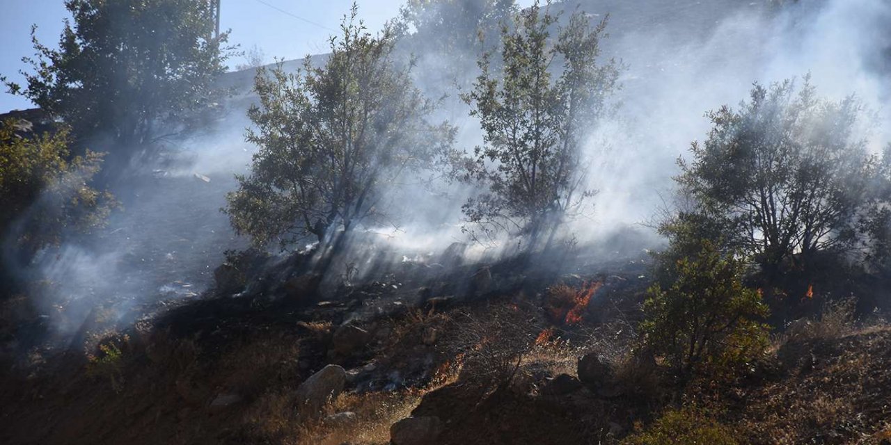 Balıkesir'de çıkan orman yangınına müdahale ediliyor