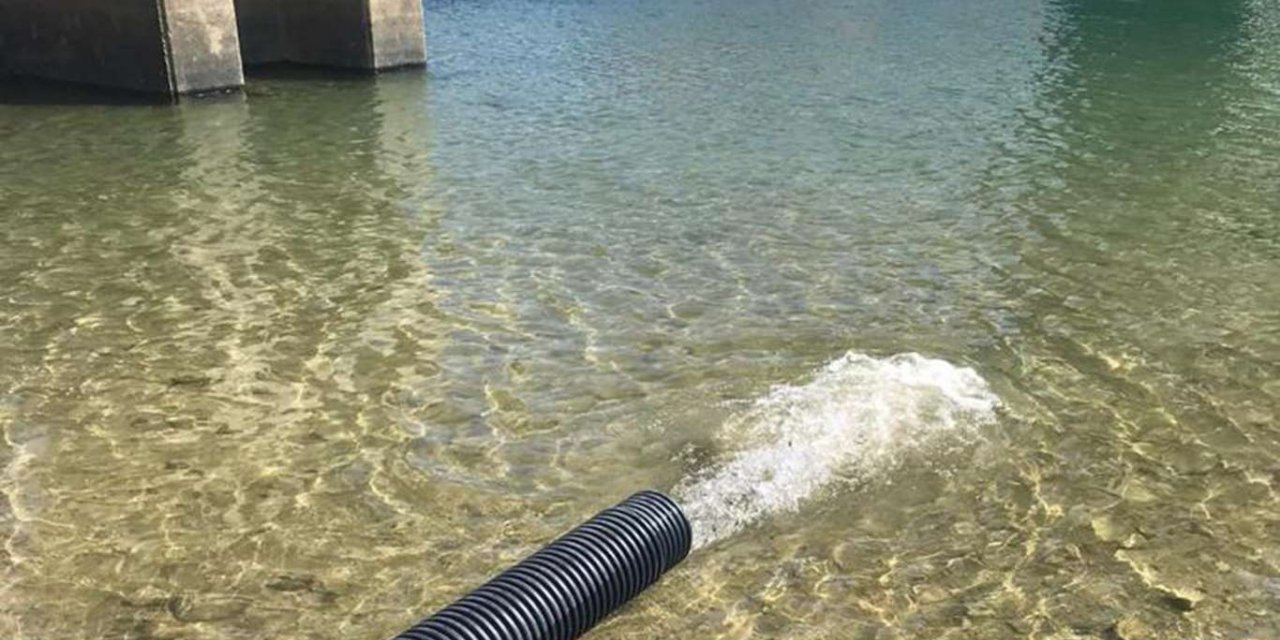 Diyarbakır'daki göletlere bir milyon 280 bin balık bırakıldı